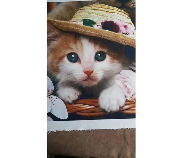 Kırlent Dijital Baskı (43x43 cm) desen 2